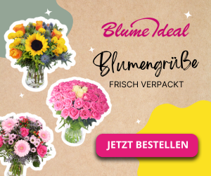 Blume Ideal Top-Angebot