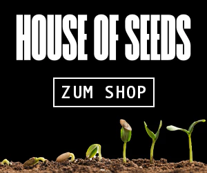 House of Seeds Top-Angebot