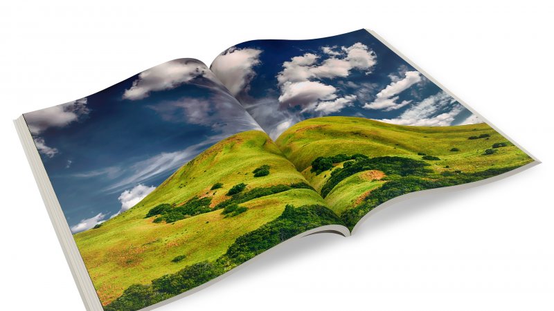 Foto & Druck