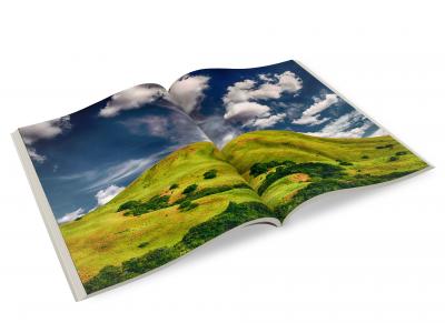 Foto & Druck